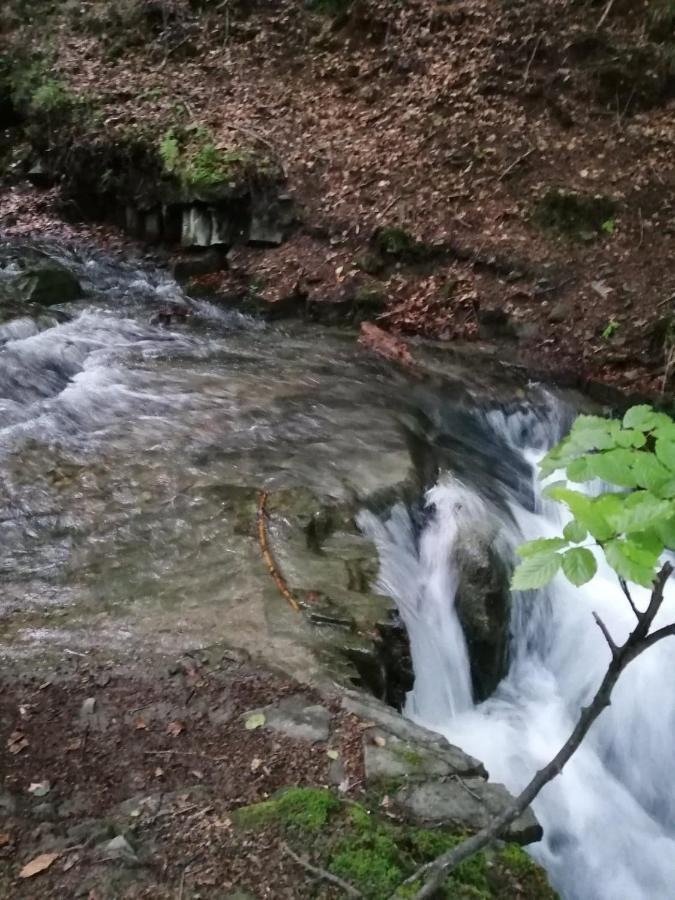 Meszna Chalpa Na Skarpie 빌라 외부 사진